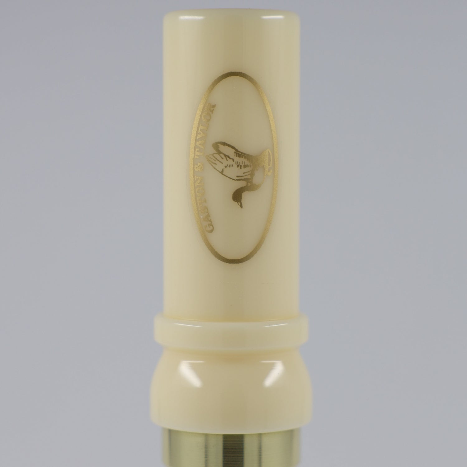 G&T Ivory